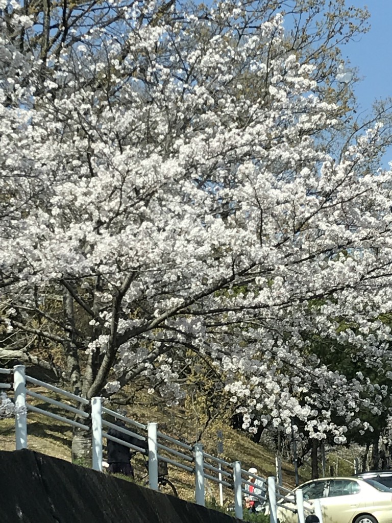 300328水ドライブ (18)
