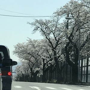 300328水ドライブ (16)